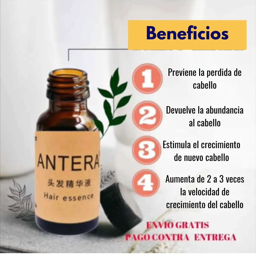 Encabezado
