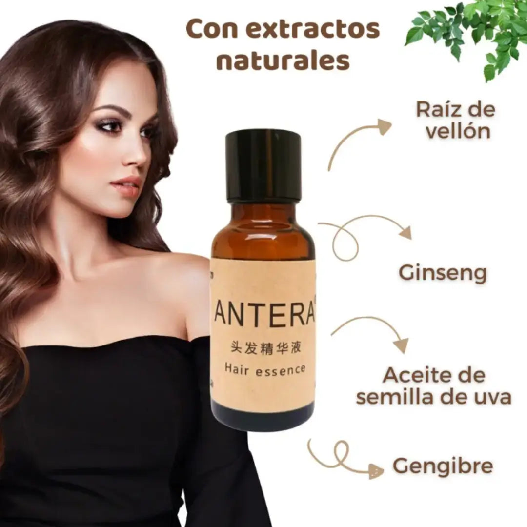 Encabezado