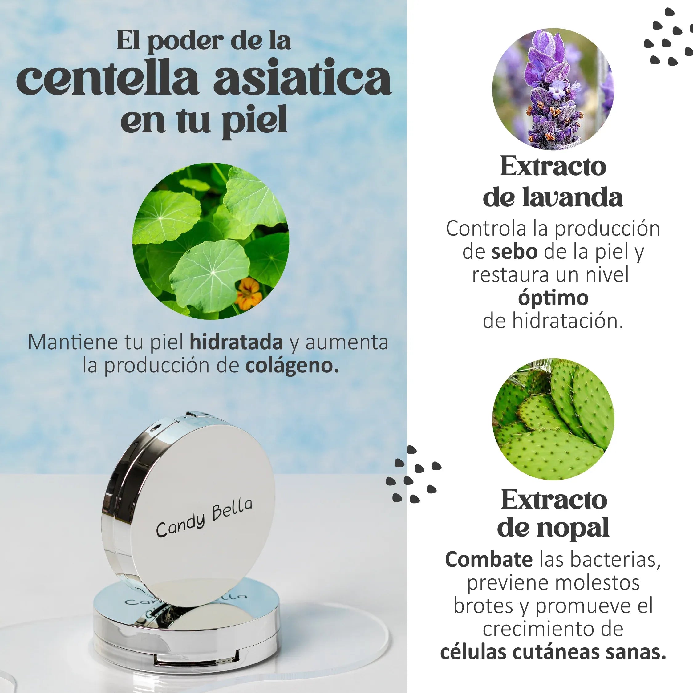 Encabezado